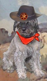 Deputy Pruts on Duty!
